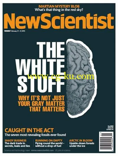 New Scientist – 21 February 2015-P2P的图片1