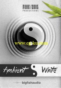 Big Fish Audio & Funk Soul Productions Ambient White KONTAKT的图片1