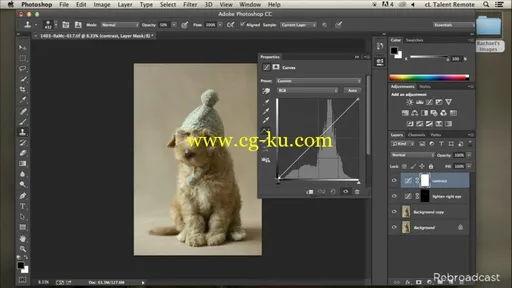 CreativeLive – Animal Photography with Rachael Hale McKenna (2014)的图片2