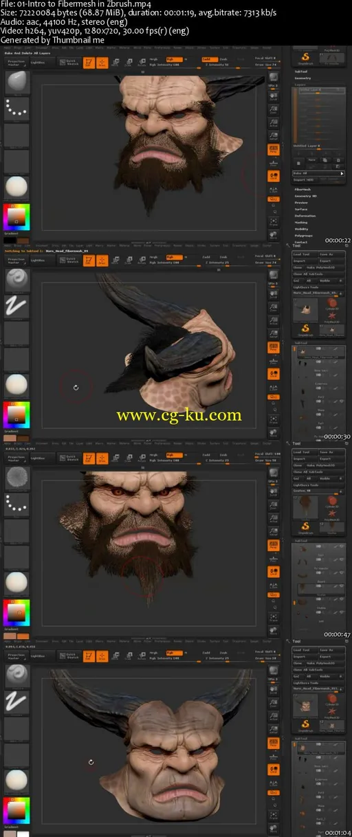 Introduction to Fibremesh in ZBrush Volume 3的图片2