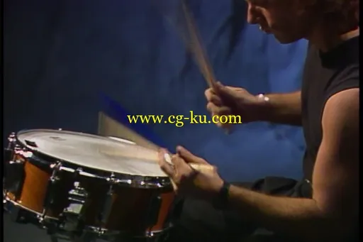 Dave Weckl: Back to Basics的图片3