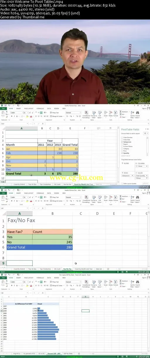 Excel Pivot Tables Data Analysis Master Class的图片2