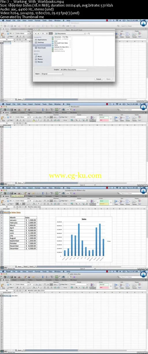 Microsoft Excel 2011 for MAC Users的图片2