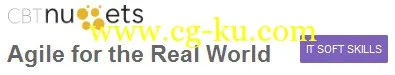 Agile for the Real World的图片1