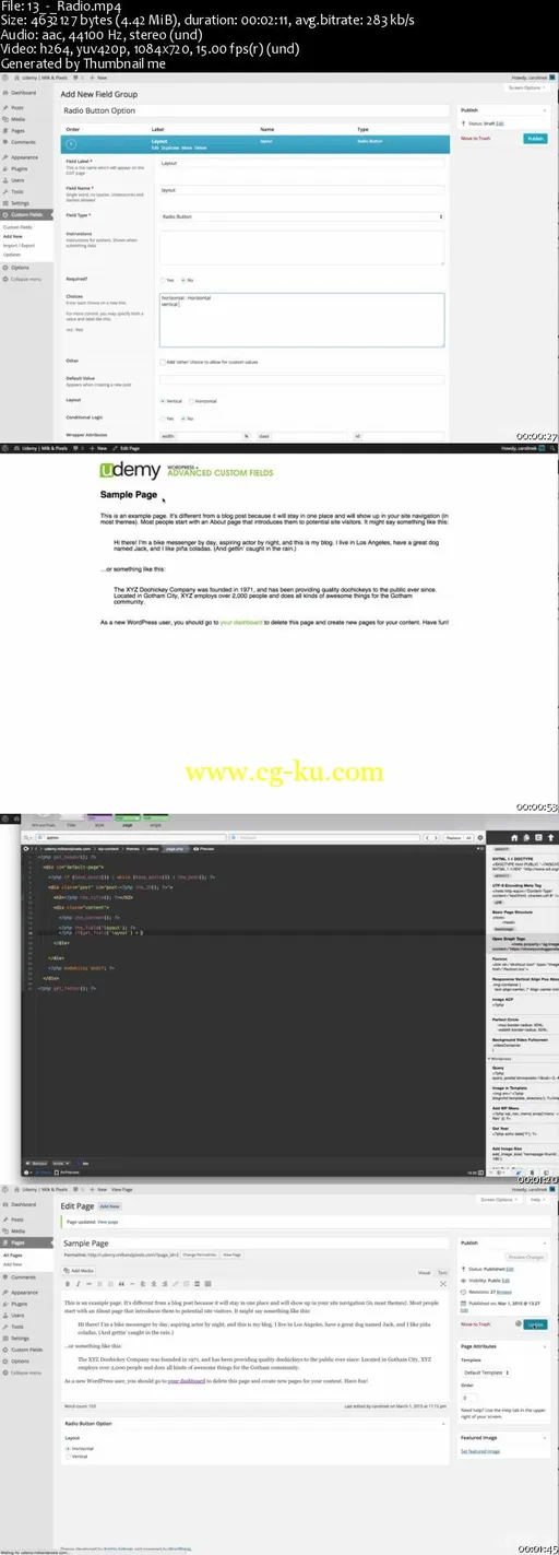 Ignite WordPress Theme Development w/ Advanced Custom Fields的图片2