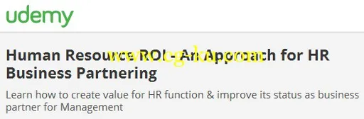 Human Resource ROI – An Approach for HR Business Partnering的图片1