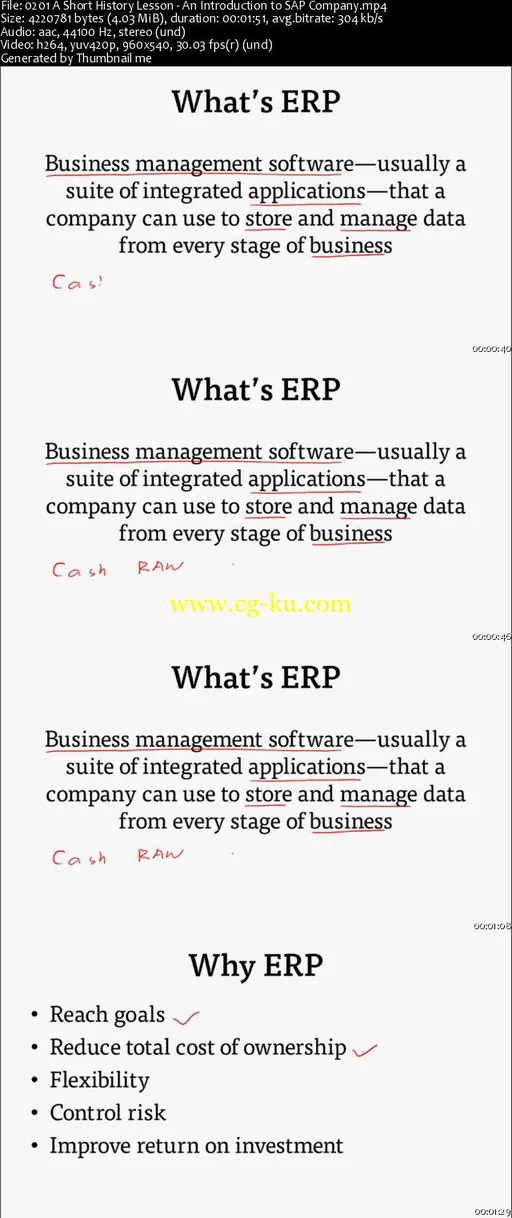 SAP – SAP 101 – Learn SAP Full Modules for Beginners的图片2