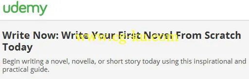 Write Now: Write Your First Novel From Scratch Today的图片1