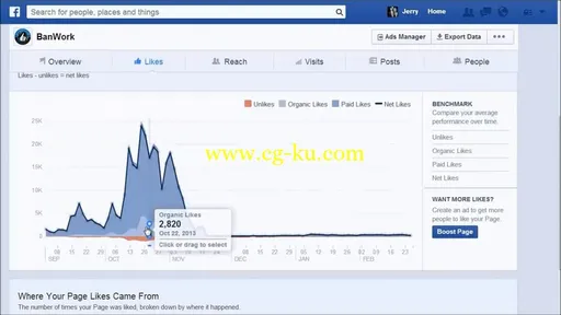 Facebook Marketing + Ads 2015 for Business and Entrepreneurs的图片3