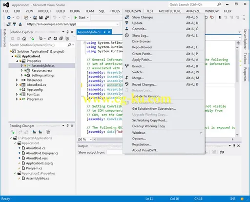 VisualSVN 4.0.11的图片1