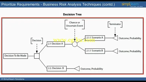 Certified Business Analysis Professional (CBAP) Certification Training的图片1