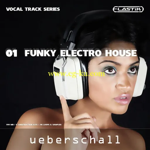 Ueberschall Funky Electro House ELASTiK的图片1