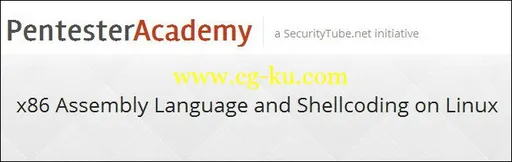 Pentester Academy – x86 Assembly Language and Shellcoding on Linux的图片1