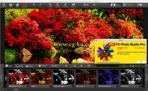 FX Photo Studio Pro 3.0 MacOSX的图片2