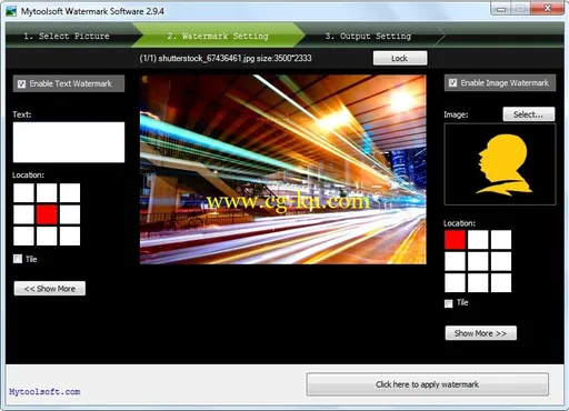 Mytoolsoft Watermark Software 3.2的图片1