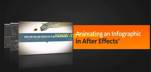 AE影视动画图制作教程 Dixxl Tuxxs – Animating an Infographic in After Effects的图片2