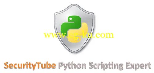 Scripting Wi-Fi Pentesting Tools in Python的图片2