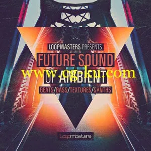 Loopmasters Future Sound Of Ambient MULTiFORMAT的图片1