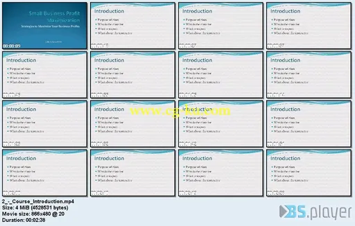 Small Business Profit Maximization: Increase Your Profits的图片1