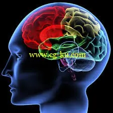 The Ultimate Memory Improvement Exercise For Brain Training的图片1