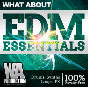 WA Production What About EDM Essentials WAV MiDi-DISCOVER的图片1