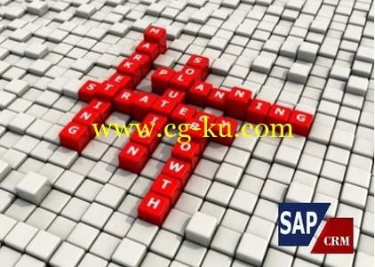 SAP CRM 7.0 Enhancement Package 3 (SP01)的图片1