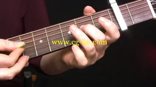 GuitarTricks – Lisa McCormick的图片2