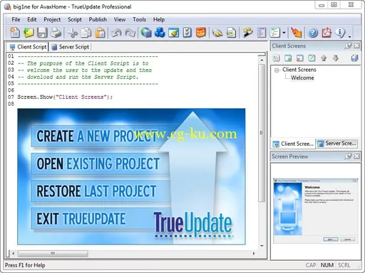 TrueUpdate Professional 3.8.0.0的图片1