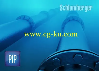 Schlumberger PIPESIM 2014.1的图片1