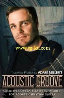 Truefire – Adam Miller’s Acoustic Groove (2015)的图片1