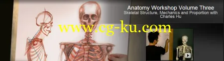 The Gnomon Workshop Anatomy Workshop: Volume Three的图片2