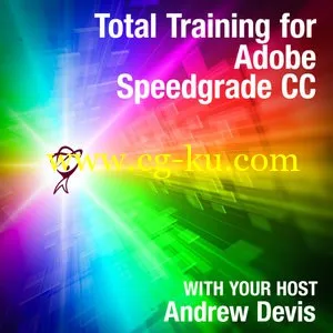 Total Training – SpeedGrade CC的图片1