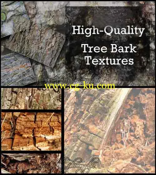 HQ Tree & Bark Texture Collection by Cutte 高品质叶和树皮纹理的图片1