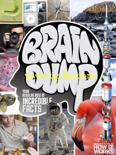 How It Works Brain Dump – Issue 22, 2014-P2P的图片1