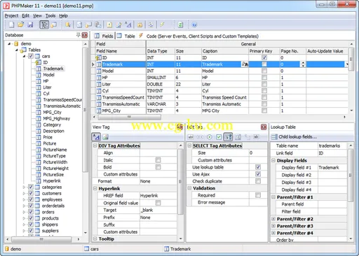 e-World Tech PHPMaker 11.0.6的图片1