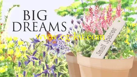 Big Dreams Small Spaces (2014)的图片1