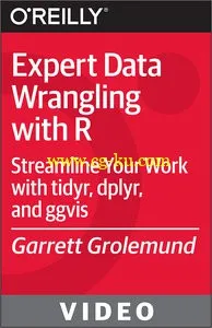 OReilly – Expert Data Wrangling with R的图片1