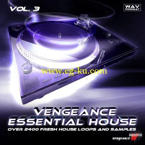 Vengeance Essential House vol.3的图片1