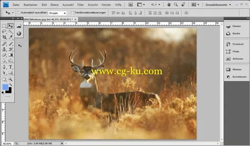 Galileo Design – Das Photoshop-Training für digitale Fotografie: Naturfotografie的图片3