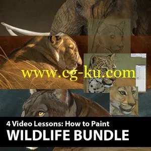 Wildlife Painting Bundle – Aaron Blaise的图片1