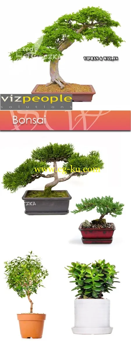 VizPeople – Bonsai 盆景模型的图片1