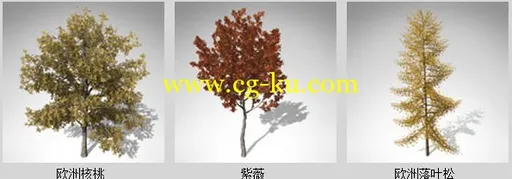 XfrogPlants – AUTUMN 秋天的树木模型的图片5