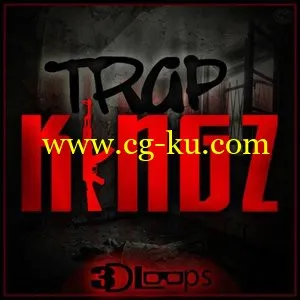 3D Loops Trap Kingz [ACiD WAV REX AiFF]的图片1