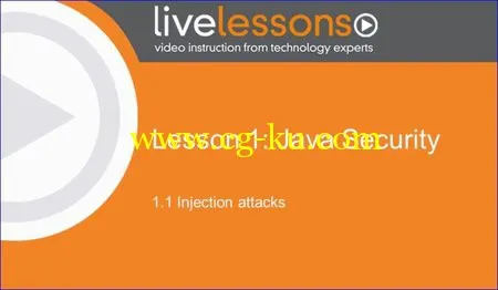 Secure Coding Rules for Java LiveLessons的图片1