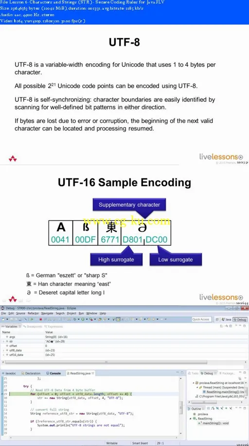 Secure Coding Rules for Java LiveLessons的图片2