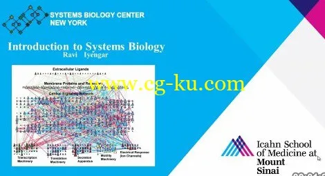 Icahn School of Medicine – Introduction to Systems Biology的图片1