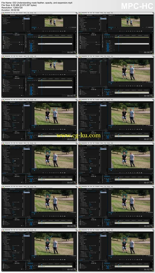 Premiere Pro Guru: Compositing and Masks的图片1