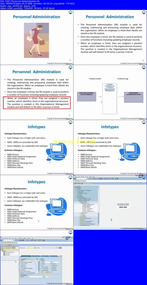 SAP – SAP HCM的图片2