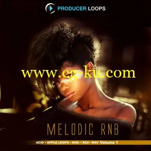 Producer Loops Melodic RnB Vol 1 ACiD WAV REX AiFF MiDi的图片1