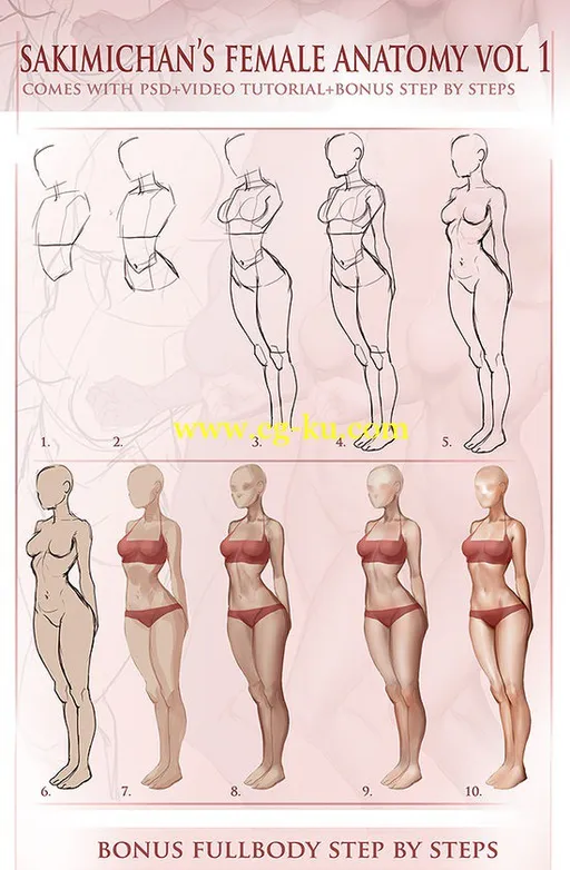 Female Anatomy Vol 1 by sakimichan的图片2